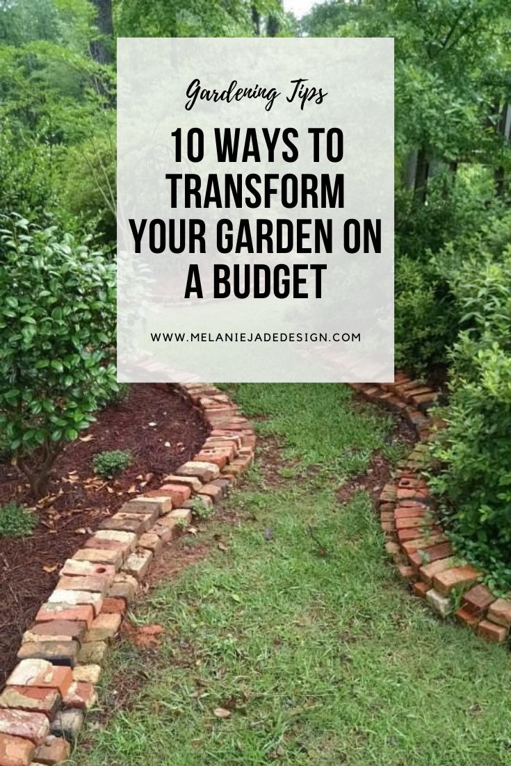 10 Ways to Transform and Enjoy Your Garden on a Budget